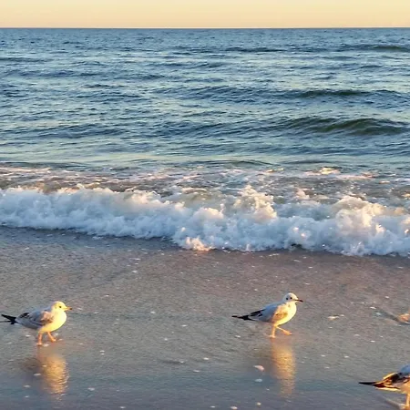 Stunning In With Sauna Jezierzany