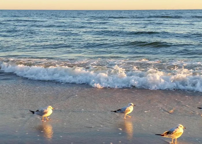 Stunning In With Sauna Jezierzany