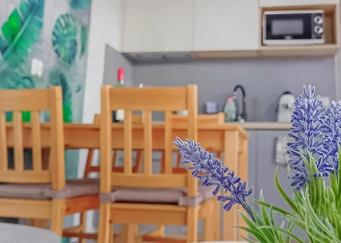 Stunning In With Sauna